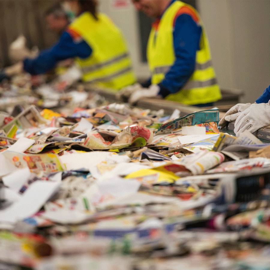 Optimising IT for Waste Management Group